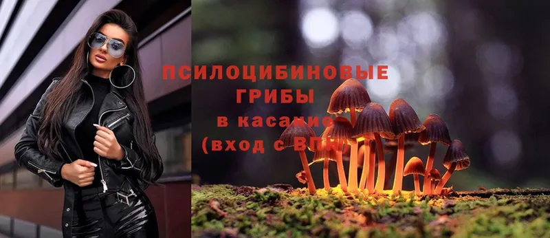 Галлюциногенные грибы Magic Shrooms Ирбит